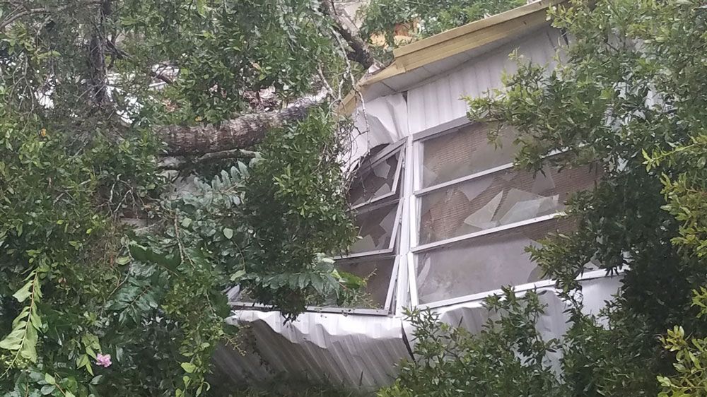 A storm toppled trees in Wildwood Thursday, including one that fell on a mobile home. (Sumter County Emergency Management)