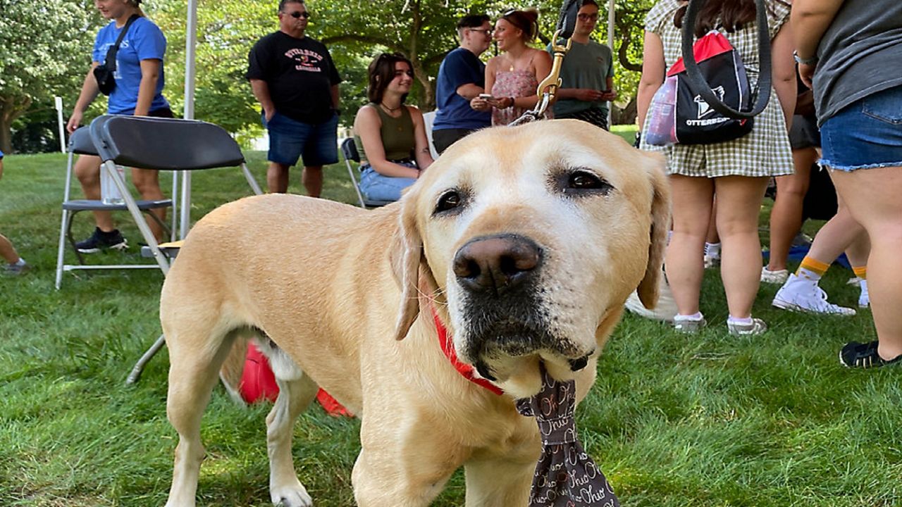 Program using dogs aims to help students with mental health