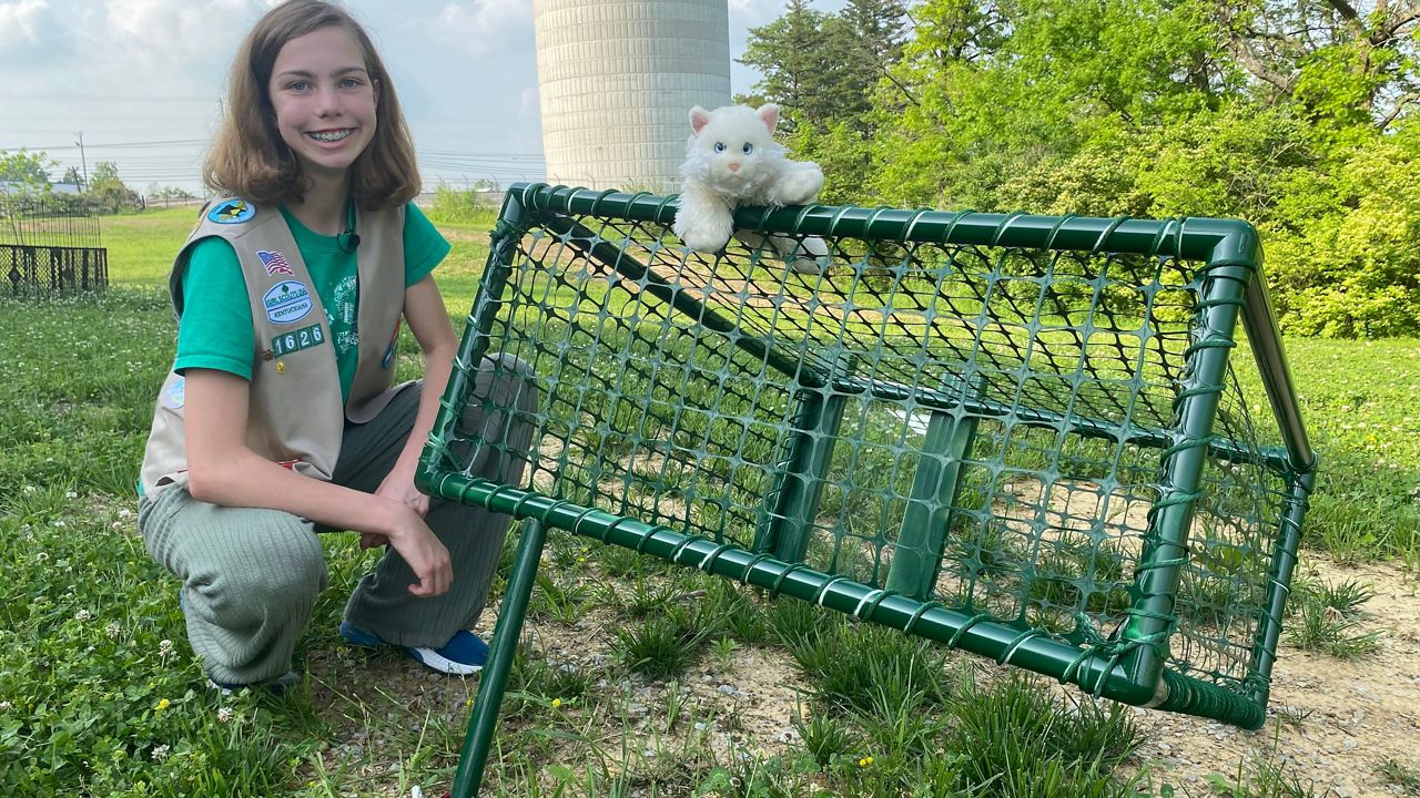 7th grader creates drop trap as part of Girl Scout project
