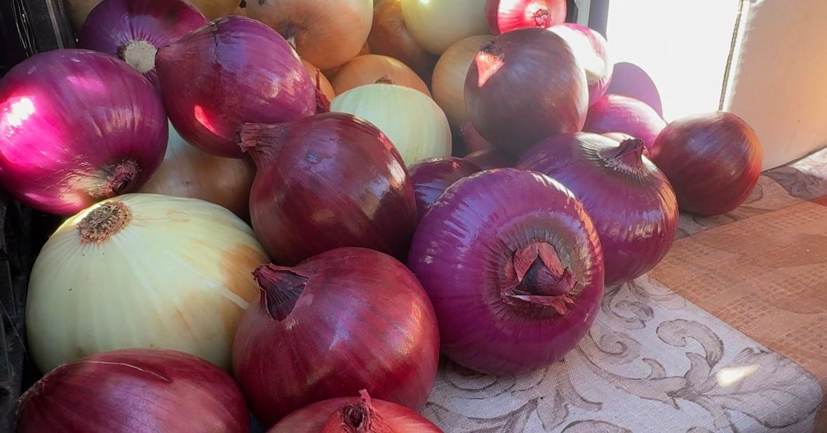 Farmers markets help create food accessibility