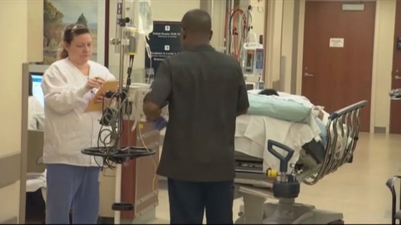 New York (state) visual data 3