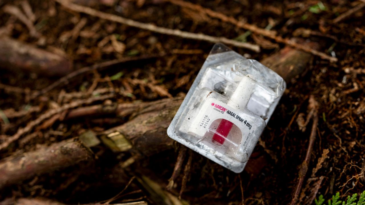 A container of Narcan, or naloxone, sits on tree roots at a longstanding homeless encampment in Bellingham, Wash., on Thursday, Feb. 8, 2024. (AP Photo/Lindsey Wasson, File)