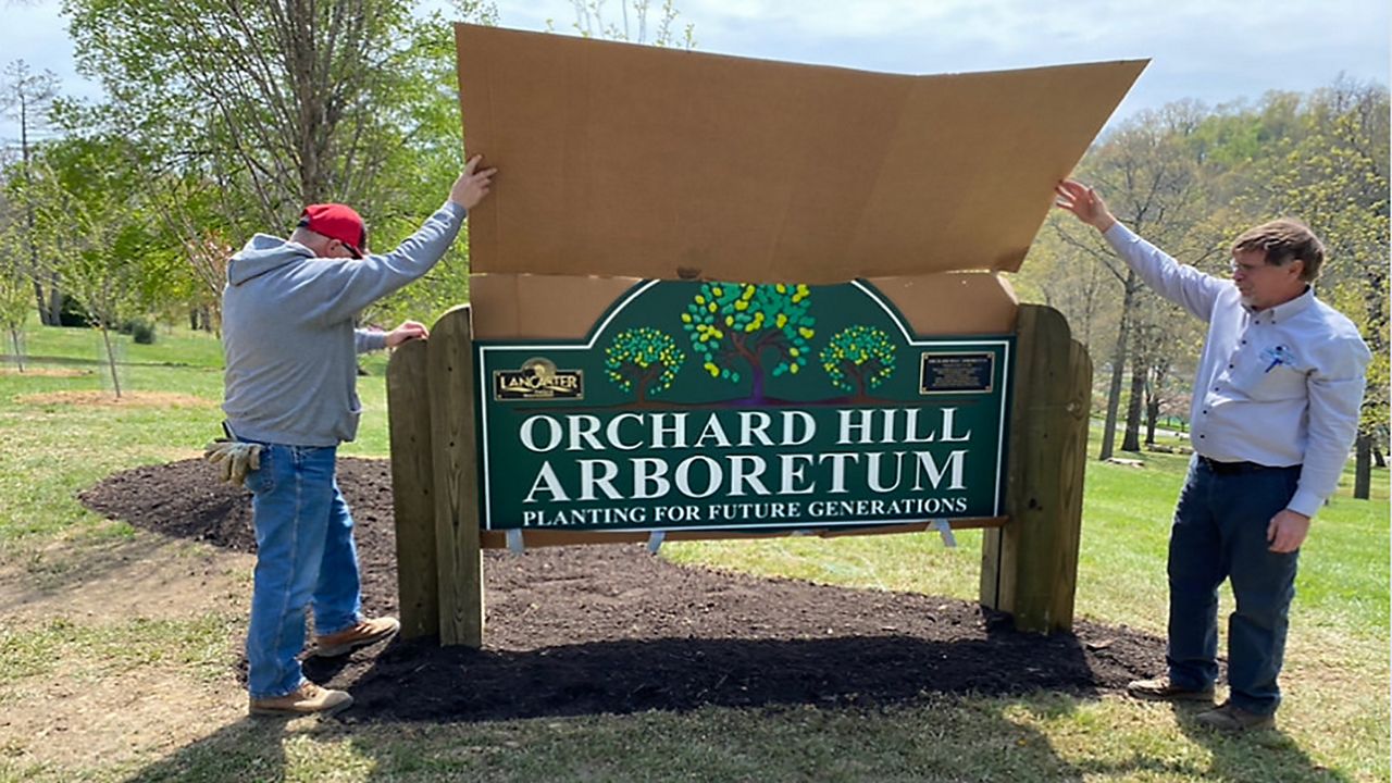 Effort to Replenish Trees Turns into an Arboretum