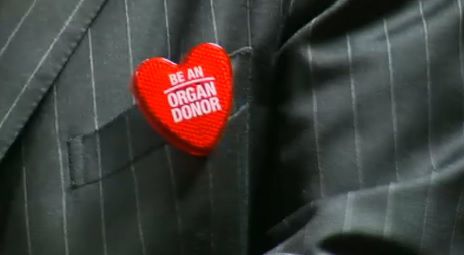 organ donor