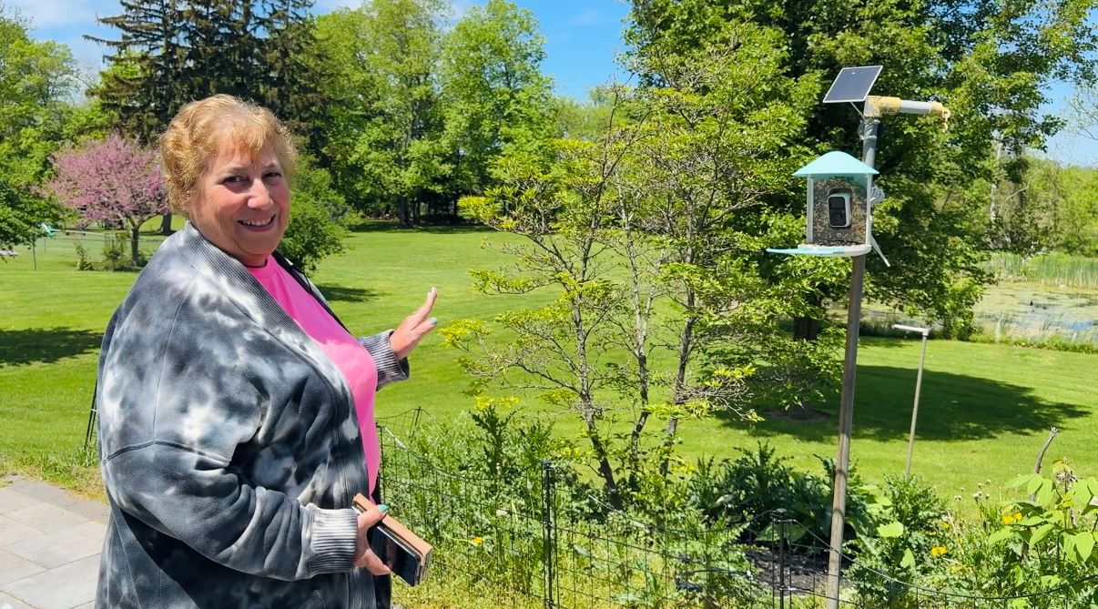 high tech bird feeders