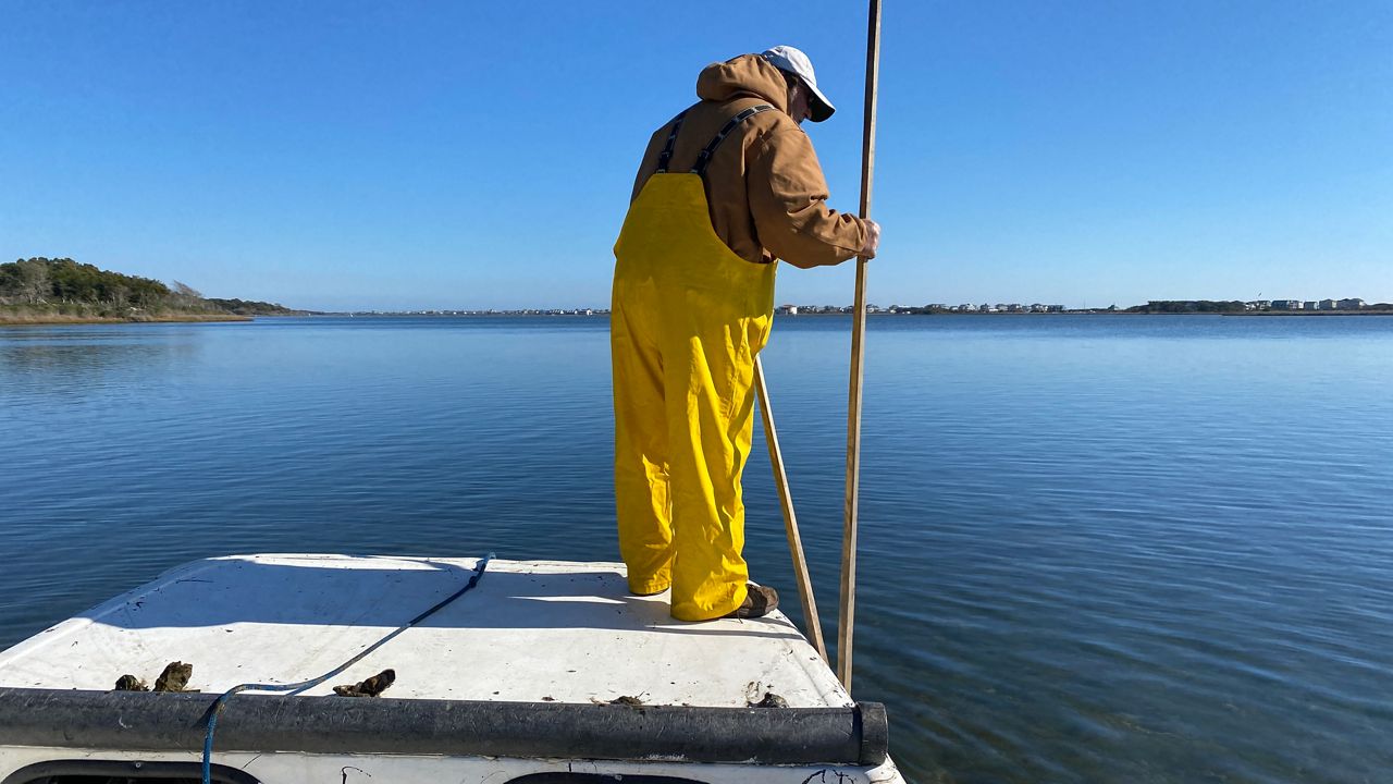 North Carolina's oyster industry is growing and state regulators are trying to make business easier for oyster farmers on the coast. 