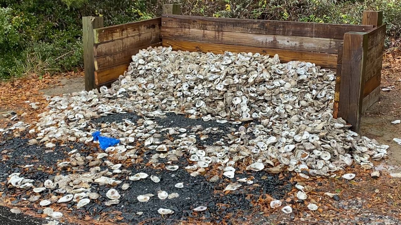 Restaurants to Reefs Program Helps Build Up Existing Reef