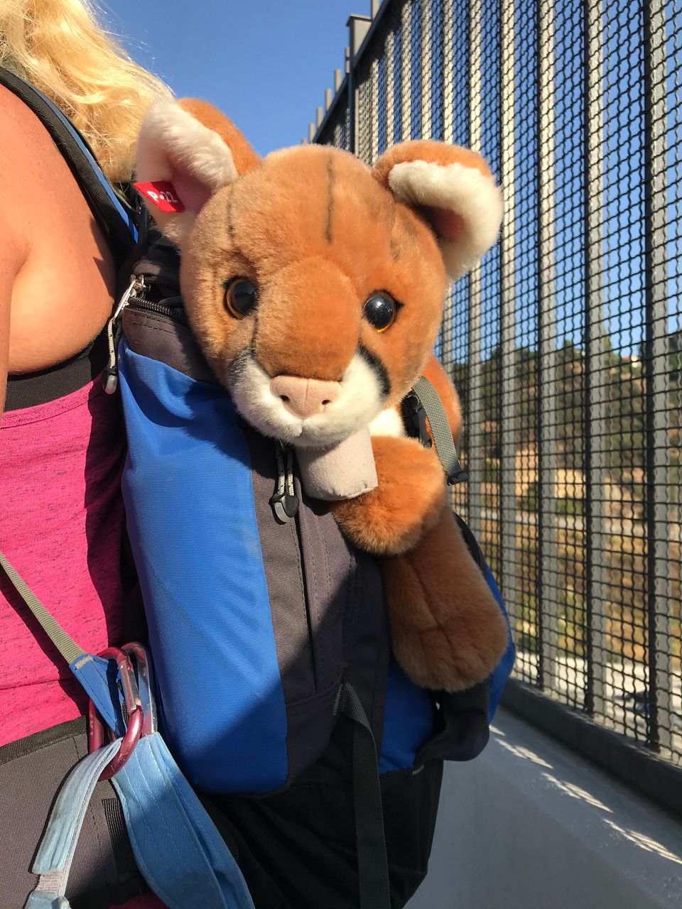 Inside Beth Pratt's backpack is a plush toy version of P-22.
