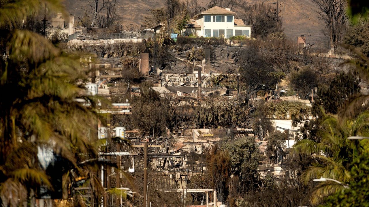 Why Some Homes Survive Wildfires: Key Fire-Resistant Building Strategies