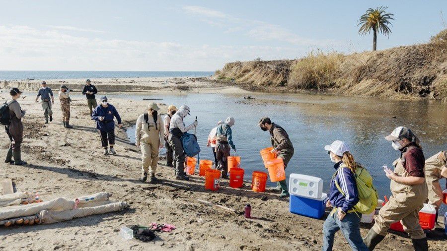 (Photo courtesy of California State University Channel Islands)