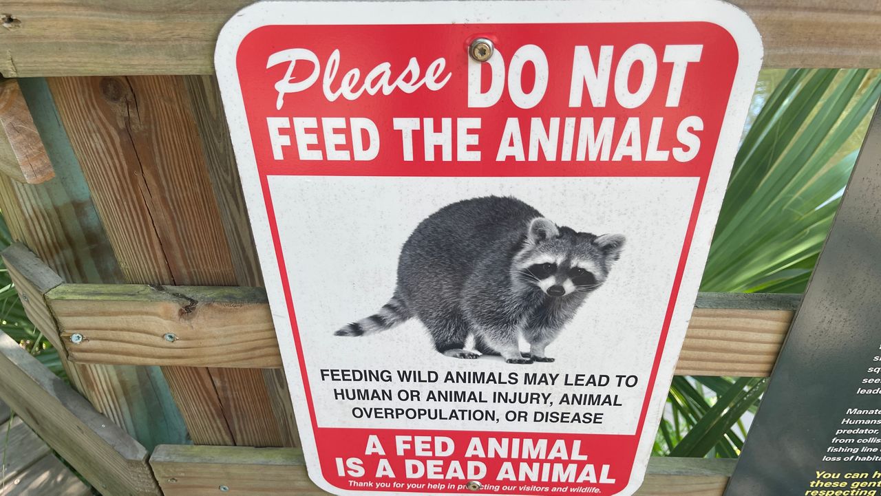 Concerns over feeding wild animals at Palm Bay sanctuary