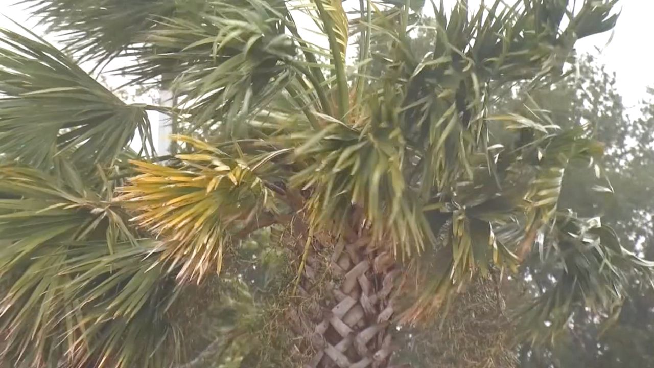 NOAA Forecasts 'Above-Normal' 2020 Hurricane Season