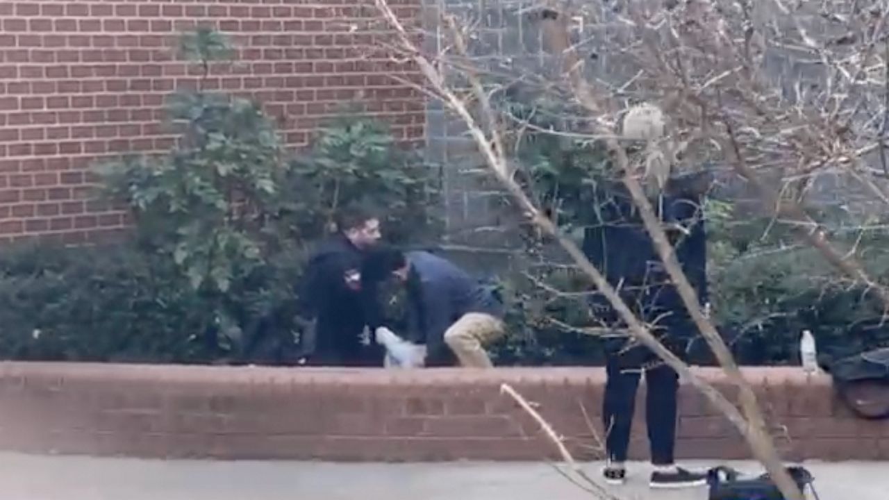 A staff member at Wake County's Panther Creek High School in Cary has been suspended after appearing to kneel on a students neck while a police officer was restraining the student.