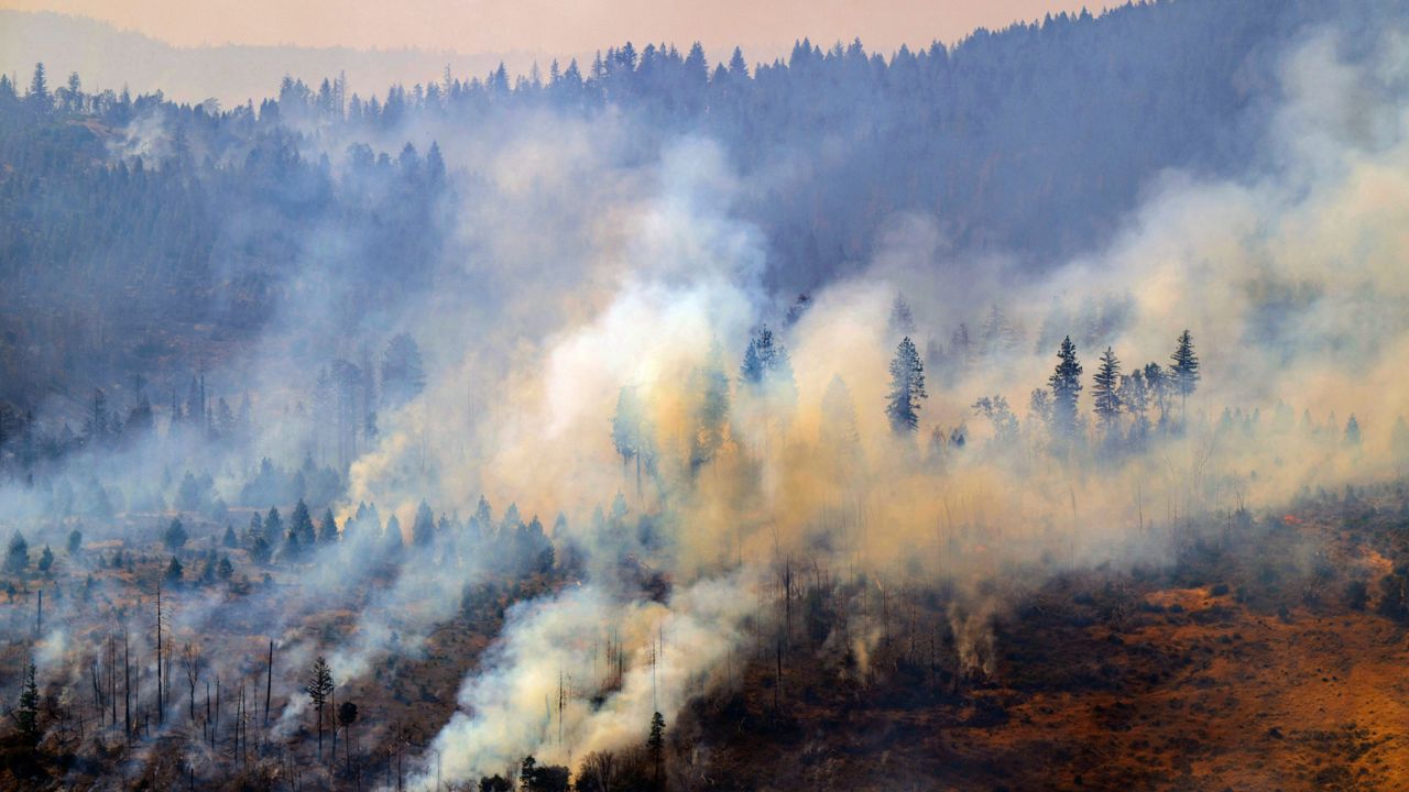 The Park Fire burns near Butte Meadows, Calif., on Monday. (AP Photo/Nic Coury)