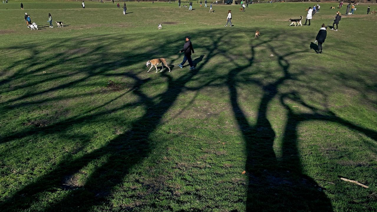 People enjoy the main lawn of Prospect Park. (AP Photo/Wong Maye-E)