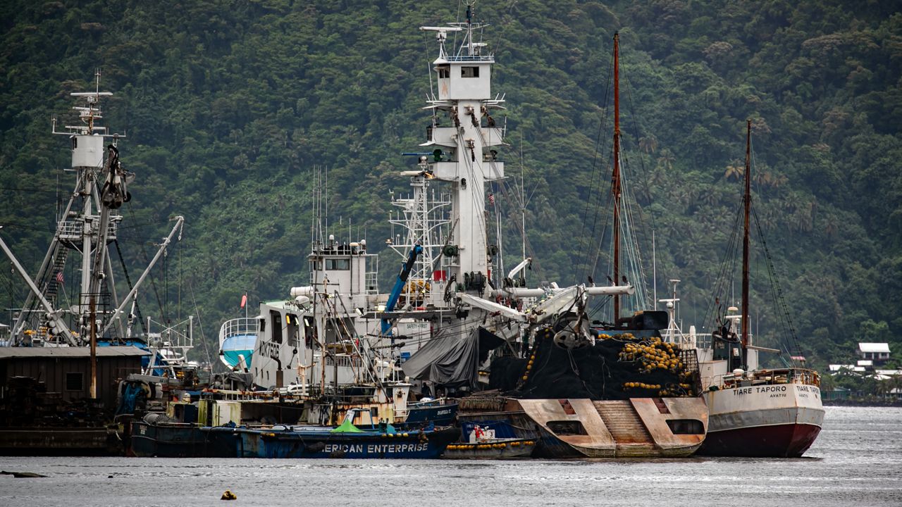 The looming tuna displacement could affect American Samoa, which relies on purse seiners to offload their catch near the Starkist cannery in Pago Pago. (Honolulu Civil Beat/Nathan Eagle)