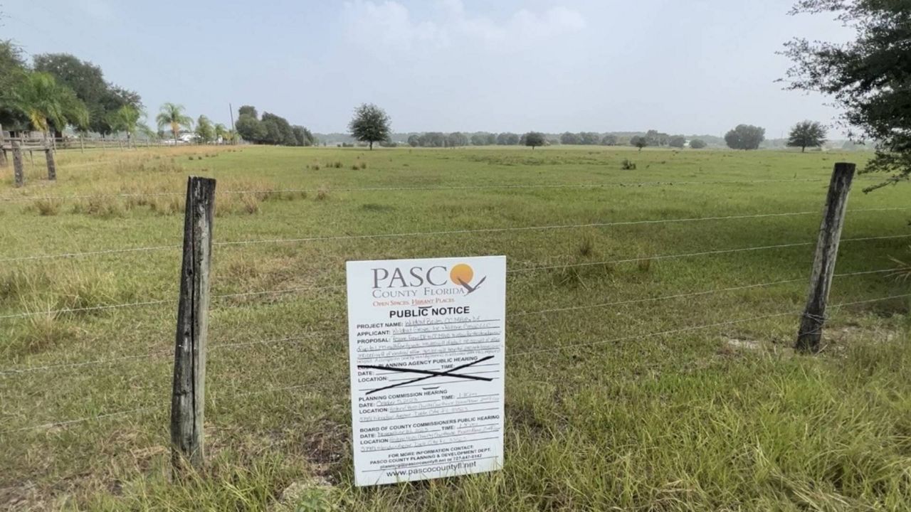 Possible Pasco spring site for Rays part of proposed Florida