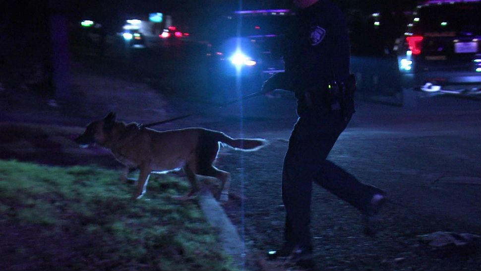 K9 officers hunt for two more suspects who fled after a police chase on Feb. 12. 