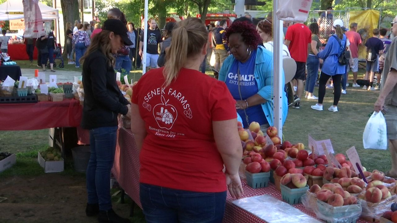 Peach Festival 2024 Lewiston Casey Cynthea