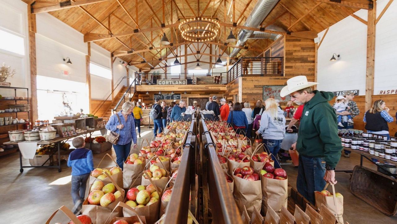 12 spots you can pick apples across Wisconsin this fall