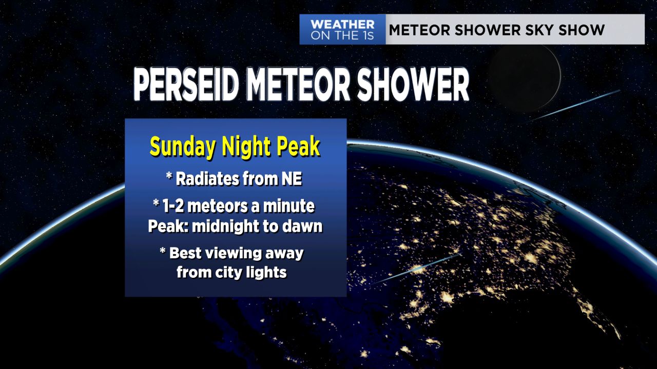 Perseid Meteor Shower