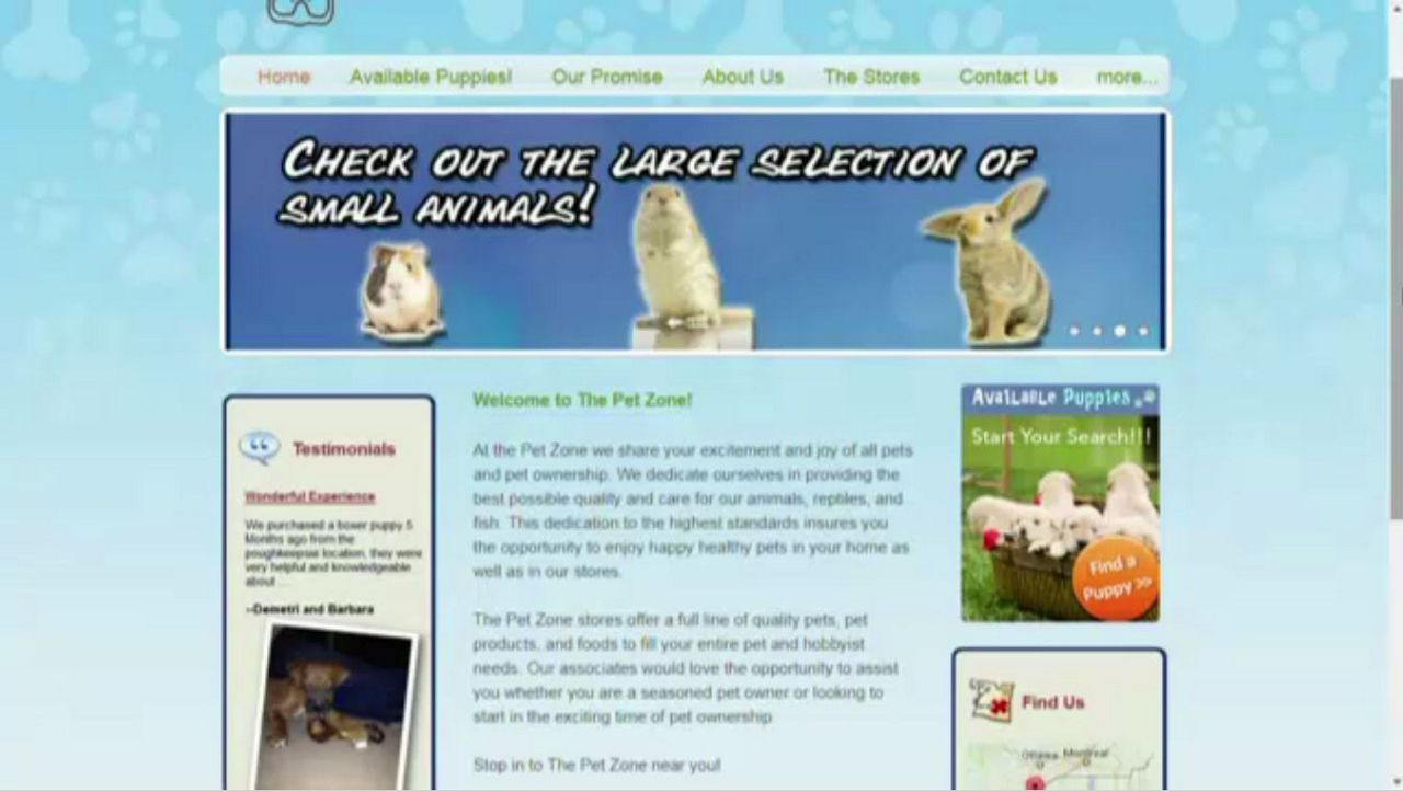 pet zone website