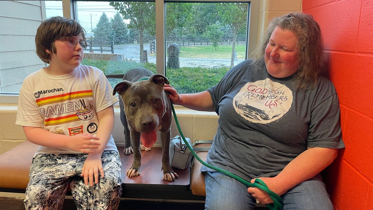 Free pet adoptions at Louisville's shelter till July 11