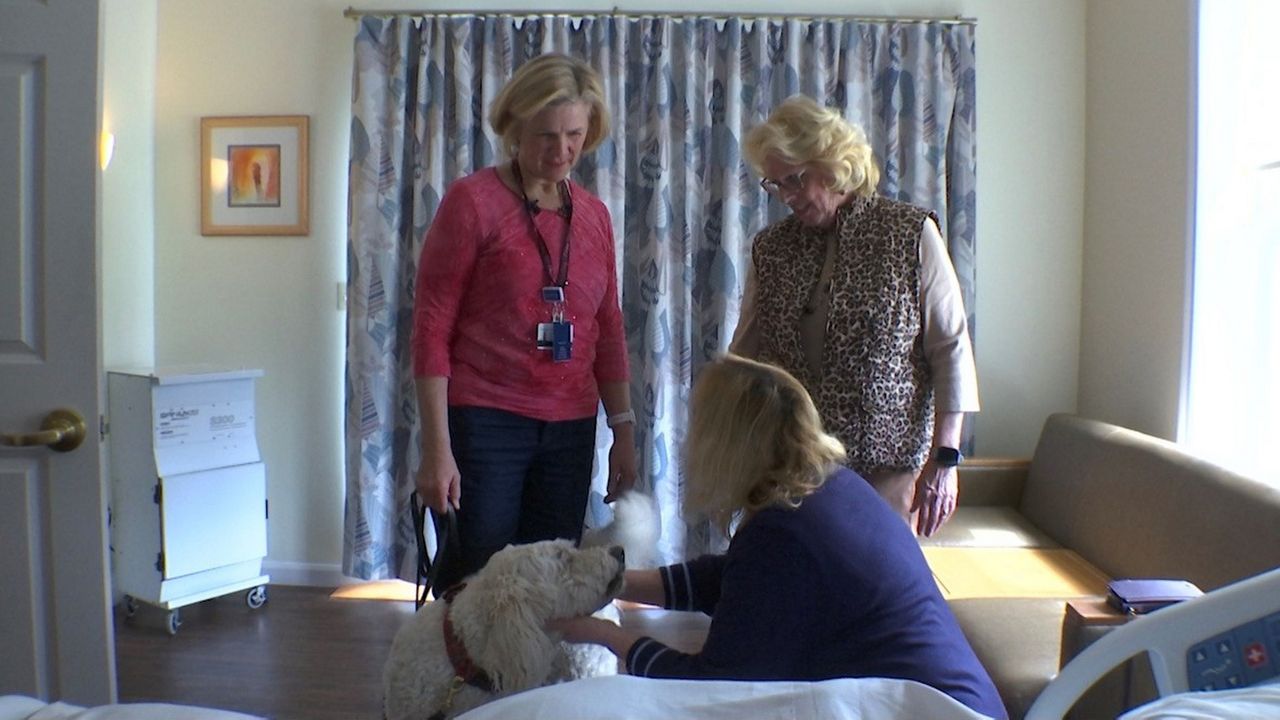 Pet therapy