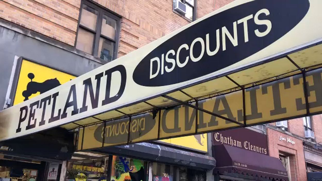 Petland Discounts to close 70 stores after owner s death