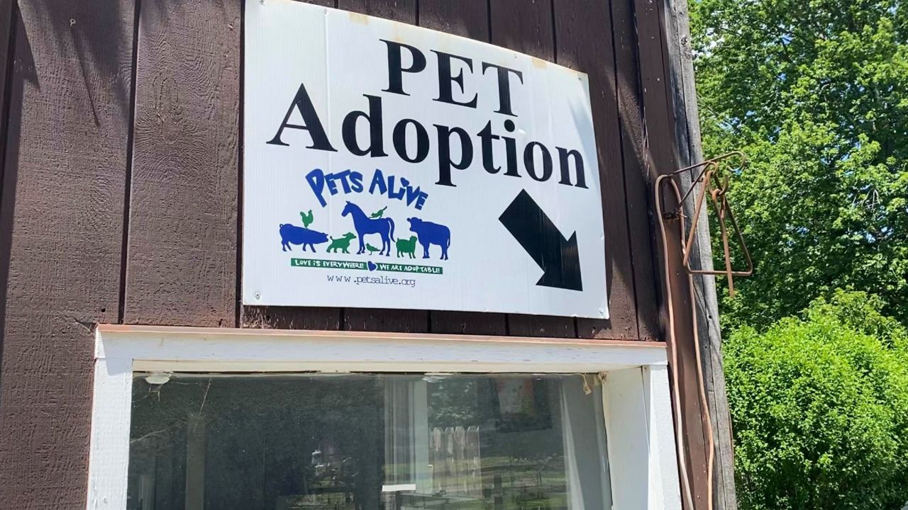 Pets Alive, Middletown NY