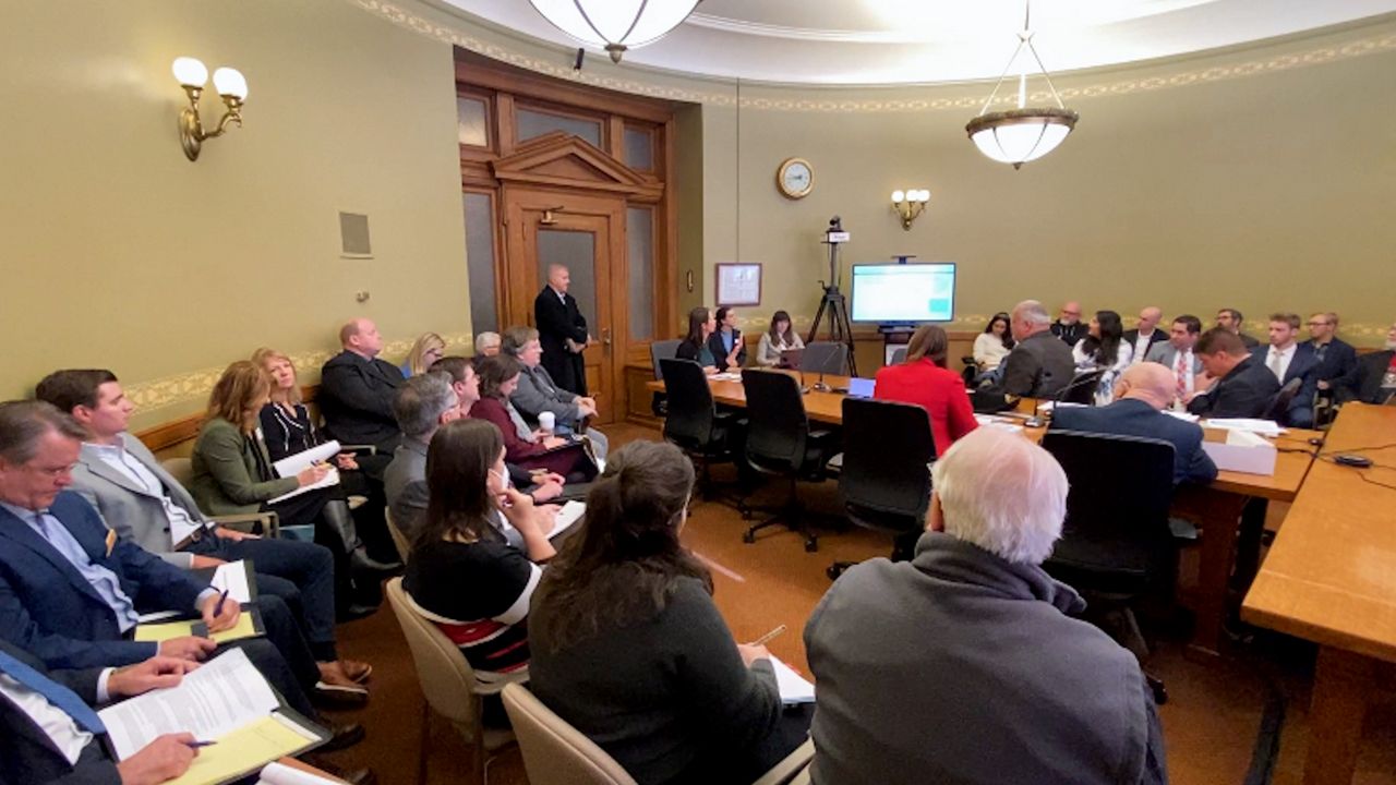 The Senate Committee on Natural Resources and Energy holds a public hearing Tuesday in Madison, Wis. (Spectrum News 1/Anthony DaBruzzi)