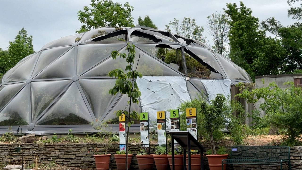 Butterfly House at the Saint Louis Zoo was damaged in the tornado by a fallen tree