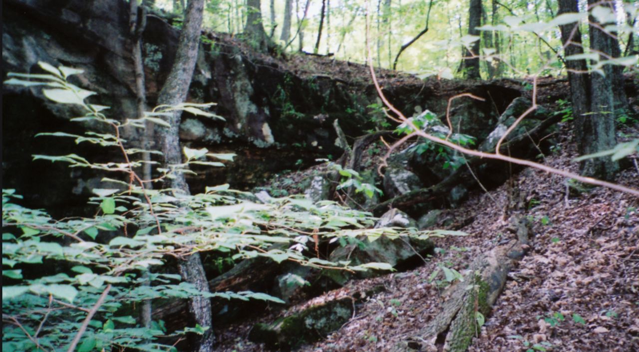 Picture Cave (Courtesy:National Historic Trust)