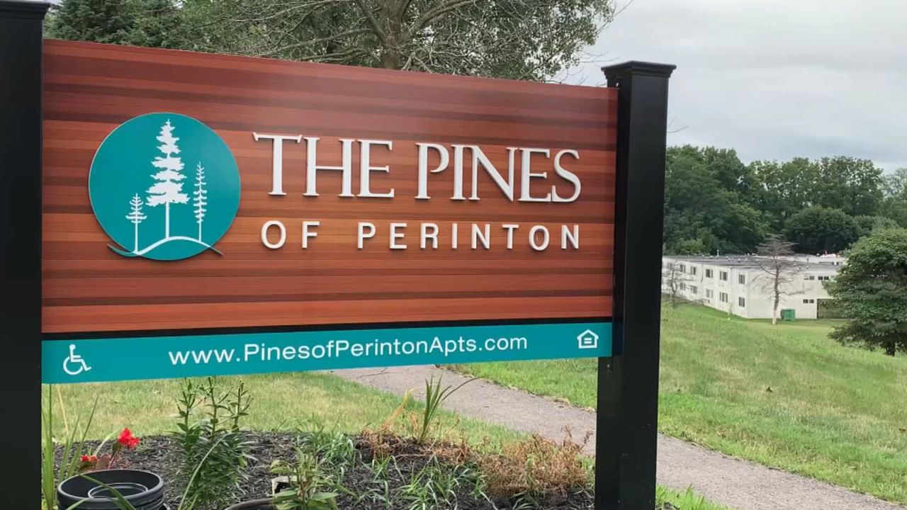 Pine of Perinton
