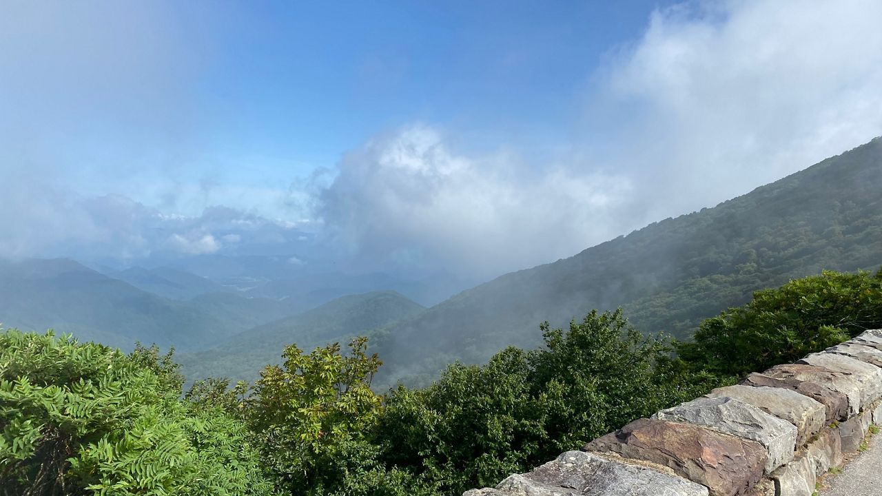 A plan for the national forests in western North Carolina could open more land to logging. 