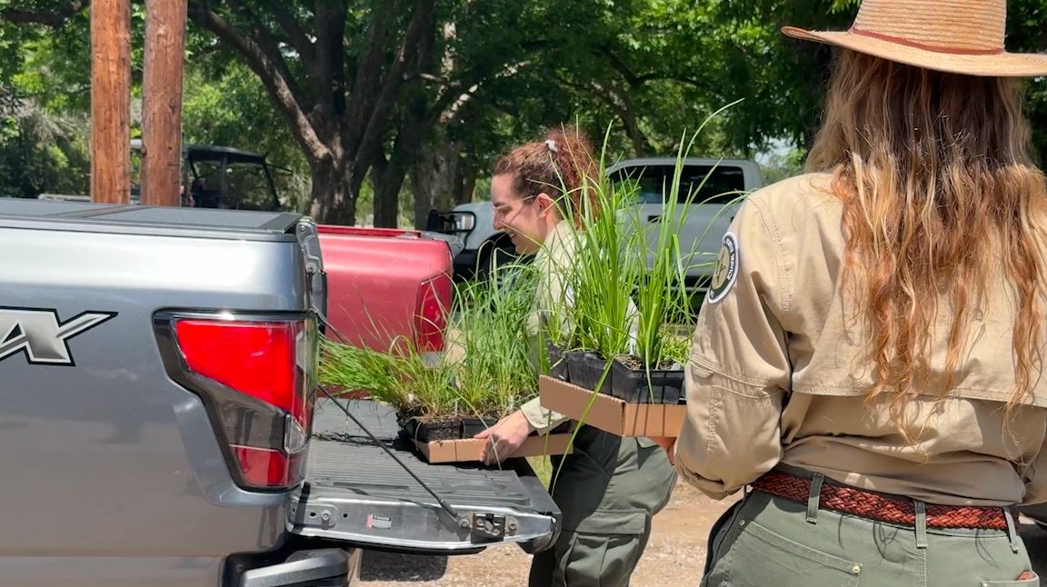 Landowners along Guadalupe River given plants to restore Hill Country greenery