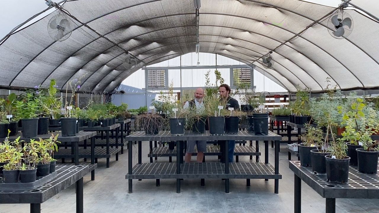 San Diego Botanical Garden’s growing solutions in a living laboratory