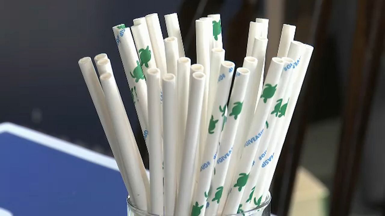 Paper straws will now be available upon request at dining facilities at the University of Tampa. (File photo)
