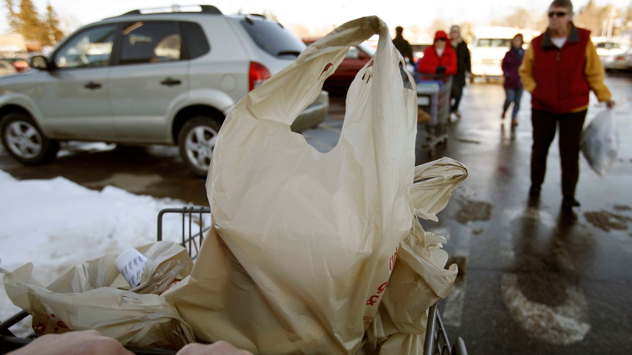 Plastic bags are still a problem, 2 years into state ban