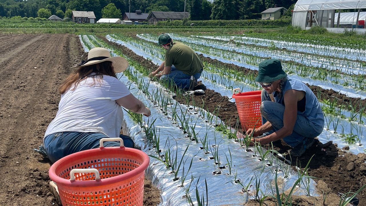 Poughkeepsie Farm Project Community Access