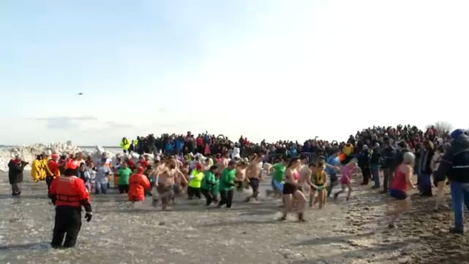 Rochesterians Take the Plunge for Special Olympics NY