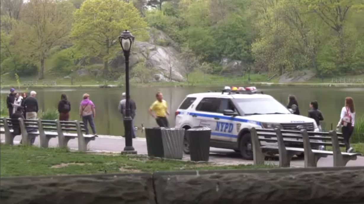 Multiple Arrests Made in Connection with Central Park Robberies, NYPD Increases Patrols