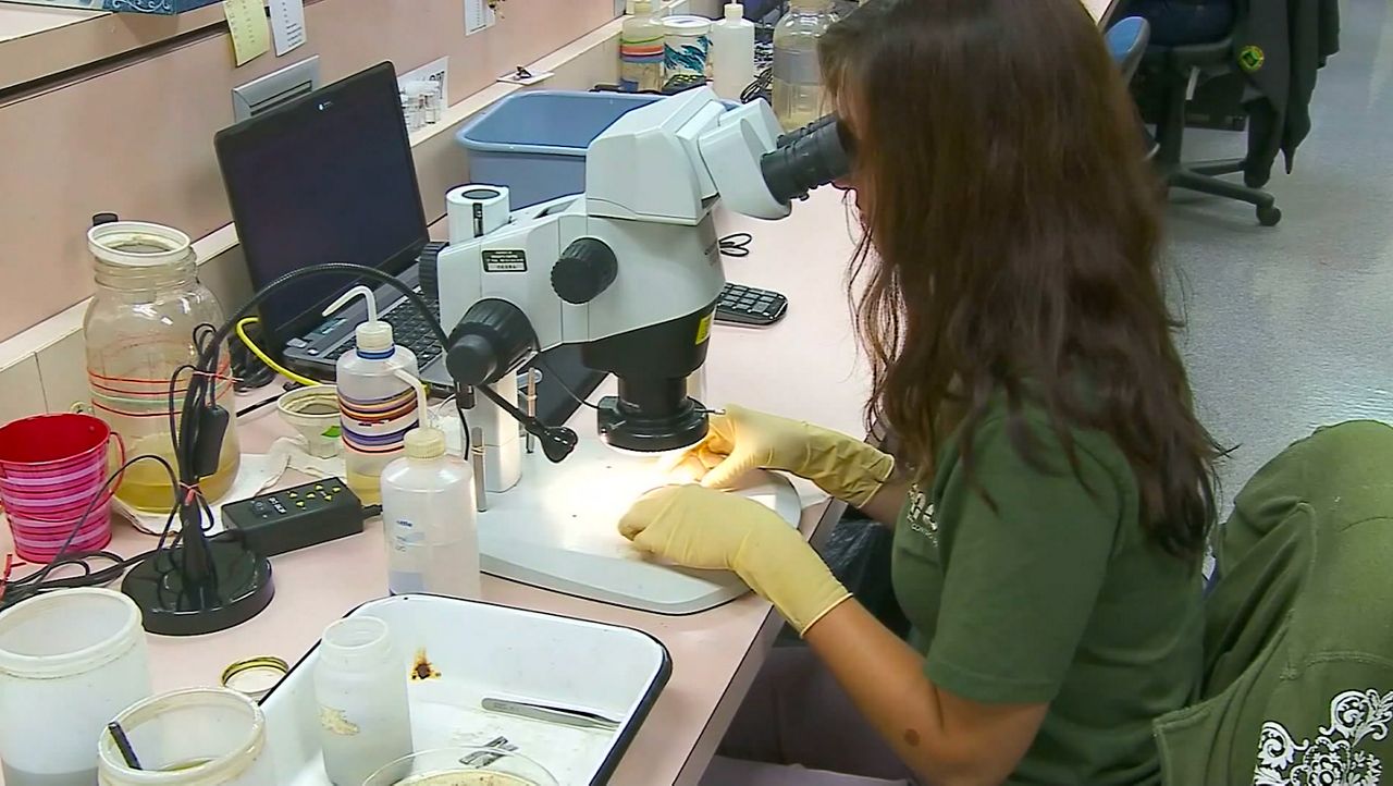 Case of polio in NY reaffirms importance of polio vaccine