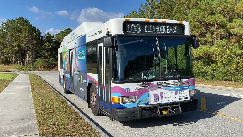 Free rides to the polls