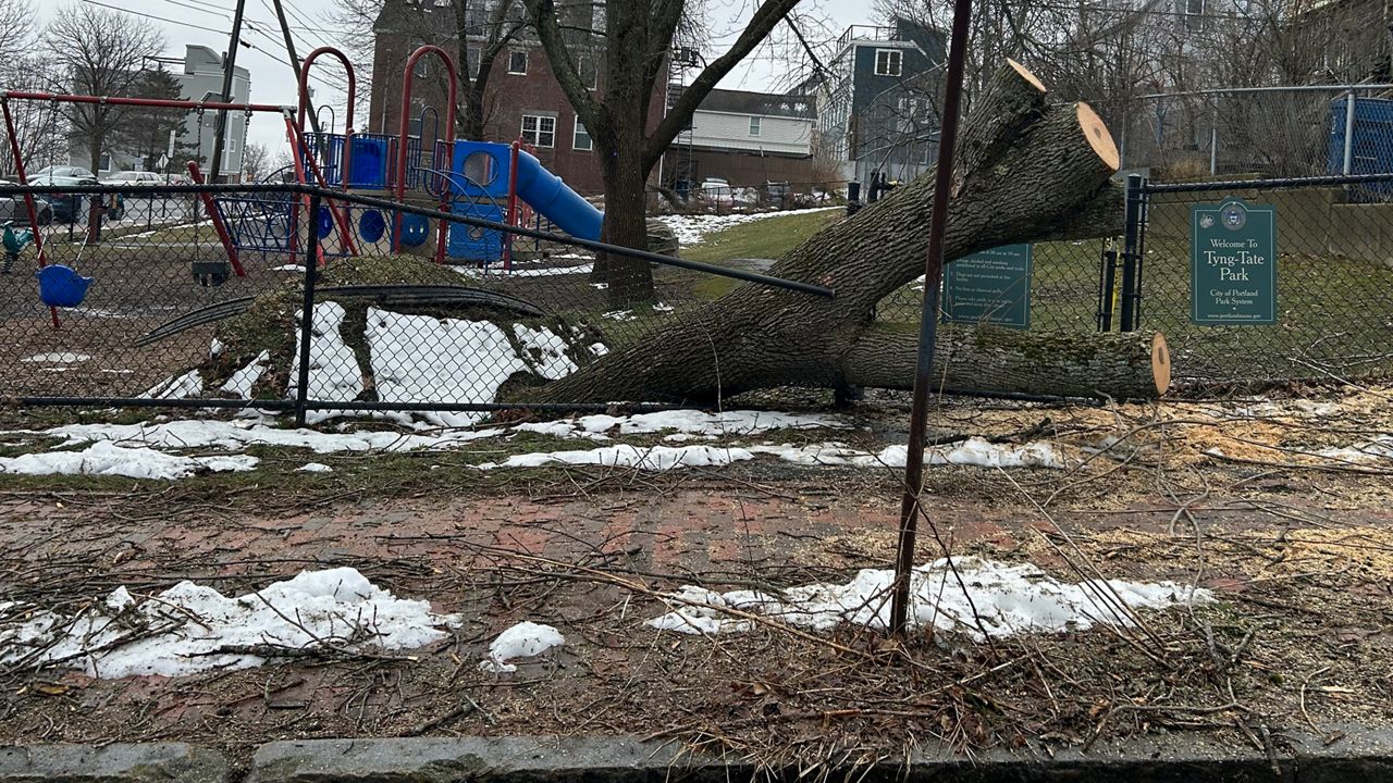 Crews repair damage from this week's storm. (City of Portland)
