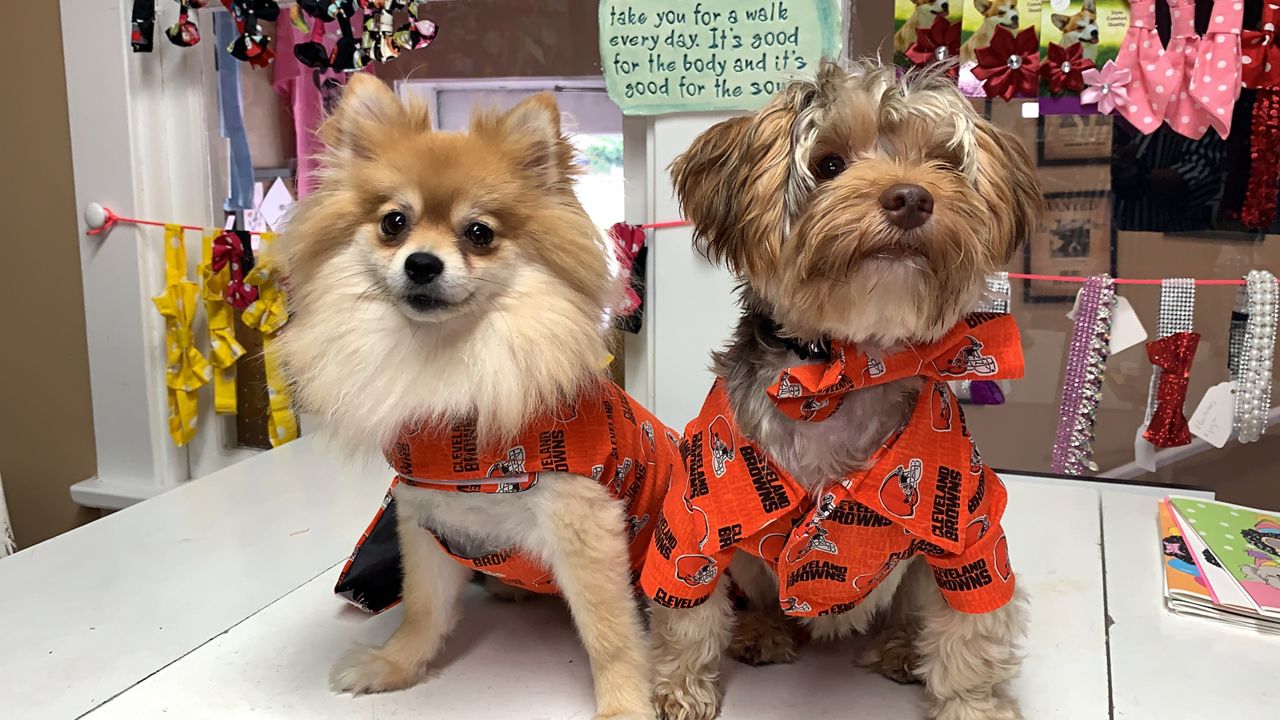 Pet boutique makes animals posh