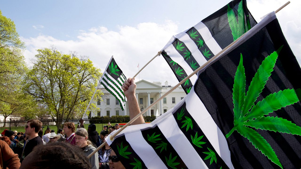 A demonstrator waves a flag with marijuana leaves depicted during a protest calling for the legalization of marijuana outside the White House on April 2, 2016, in Washington. (AP Photo/Jose Luis Magana, File)