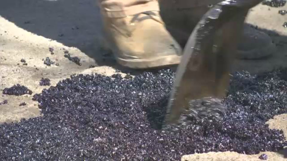 pothole patch north tonawanda niagara falls katie gibas hot patch cold patch