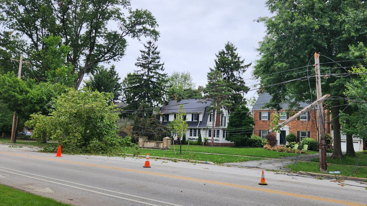 Broken power poles.