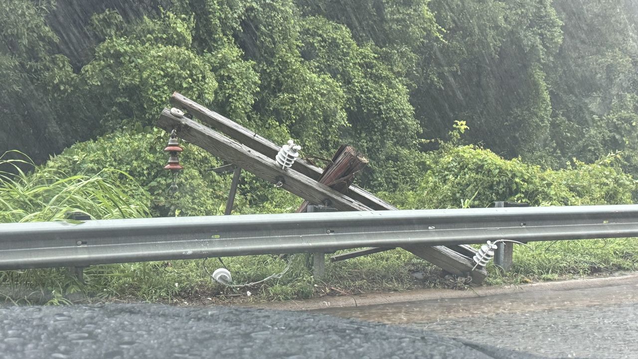 Union Road at Niblick in Gaston County where a tree took down power lines. (Gastonia Police Department)